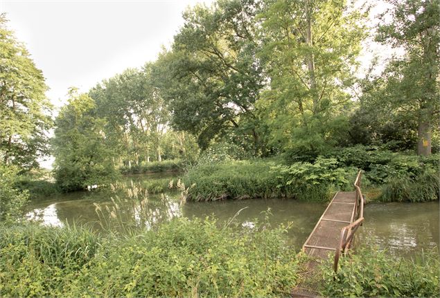 Circuit pédestre Balan : Entre Lônes et Rhône - OT 3CM