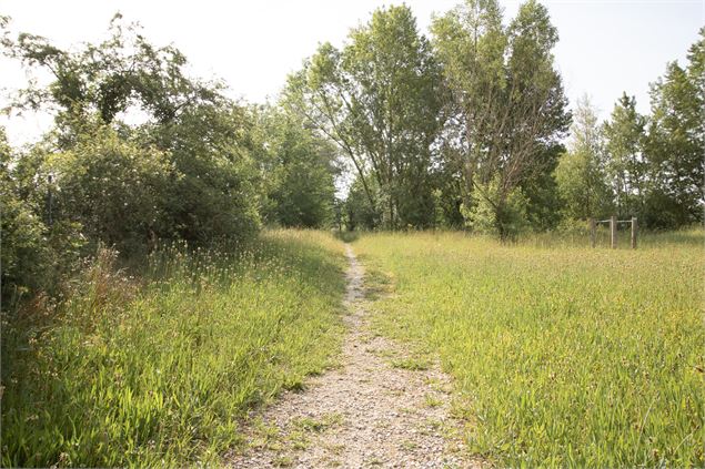 Circuit pédestre Balan : Entre Lônes et Rhône - OT 3CM