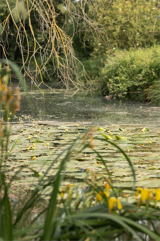 Circuit pédestre Balan : Entre Lônes et Rhône - OT 3CM