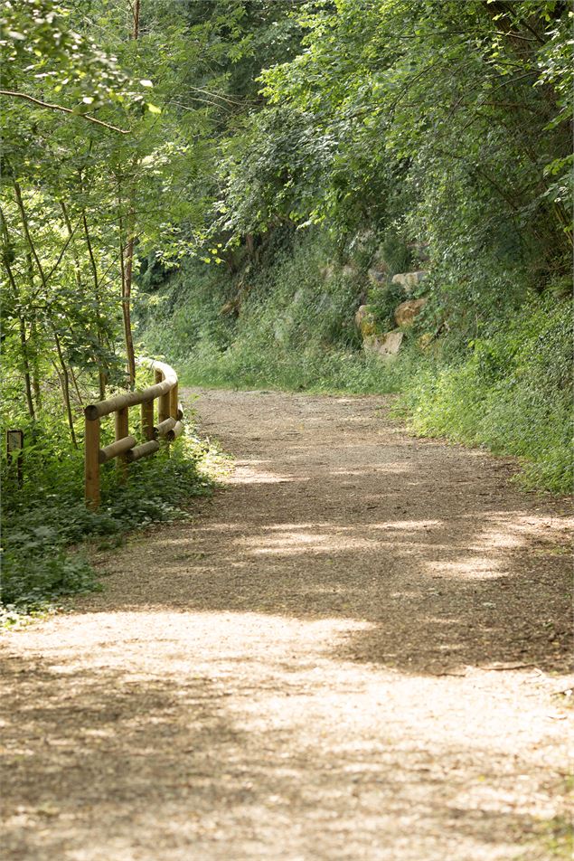 Circuit pédestre Balan : Entre Lônes et Rhône - OT 3CM