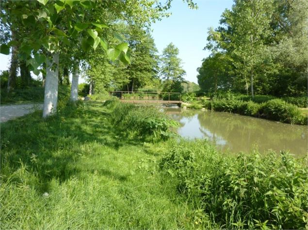 Sentier lônes - OT 3CM