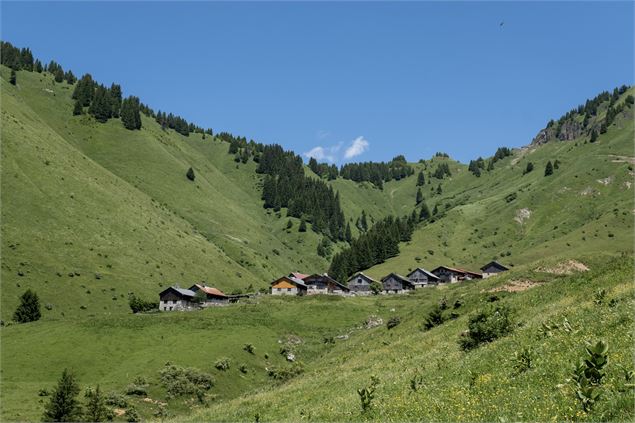 Chalets de Mayse - © Alexis Brochot