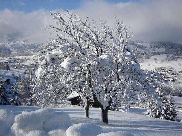 Les Intages - OT Combloux