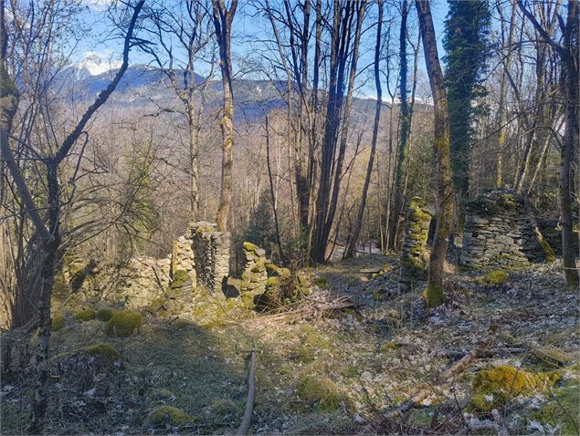 Ruines anciennes maison St Rémy de Maurienne - Emie Onillon