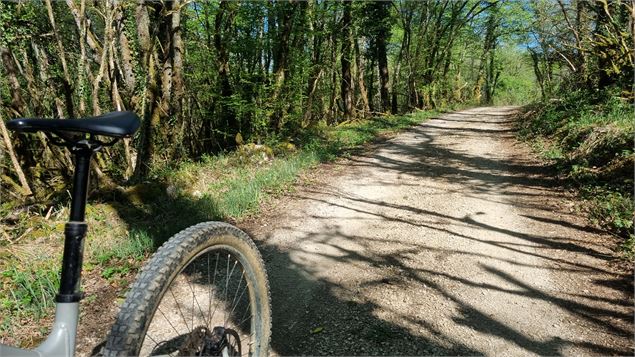Circuit VTT N°15 (rouge) - Les 4 cols du Revermont_Val-Revermont - scalland