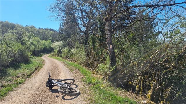 Circuit VTT N°15 (rouge) - Les 4 cols du Revermont_Val-Revermont - scalland