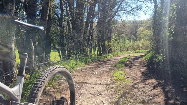 Circuit VTT N°15 (rouge) - Les 4 cols du Revermont_Val-Revermont - scalland