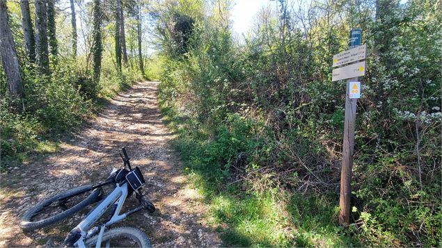 Circuit VTT N°15 (rouge) - Les 4 cols du Revermont_Val-Revermont - scalland