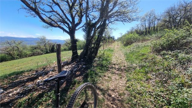 Circuit VTT N°15 (rouge) - Les 4 cols du Revermont_Val-Revermont - scalland