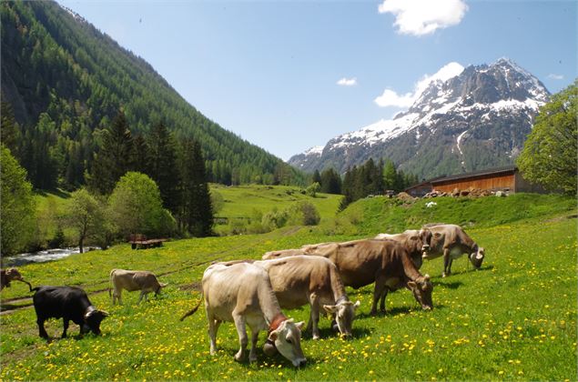 Mont-Blanc Fermes Péda - Olivier Lefebvre