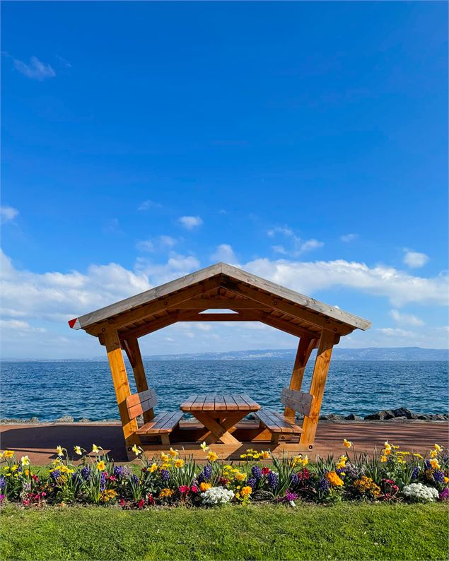 Table de pique nique - Ville d'Evian (la Nouvelle Image)