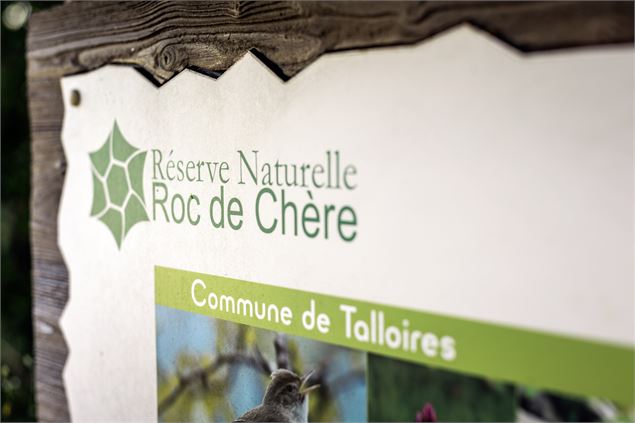 Tour du Roc de Chère_Talloires-Montmin - Peignée Verticale / A. Tardy