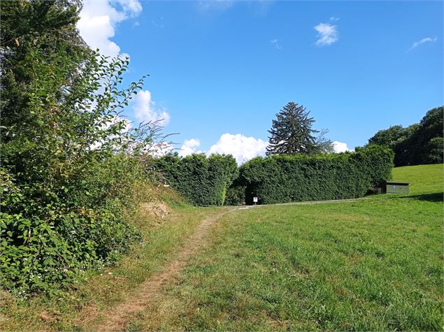 Sentier VTT : boucle du Bois de Fessy_Sallanches - Véronique Lorenzi