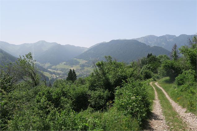 Sentier de l'alpage de l'Haut-Thex - Lucie Tanguy / Vallée d'Aulps Tourisme