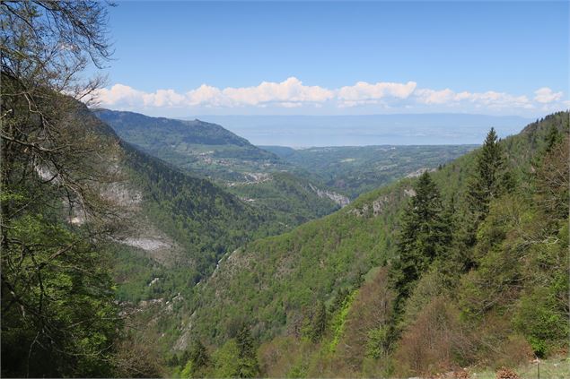 Vue Léman - Victor Demilly