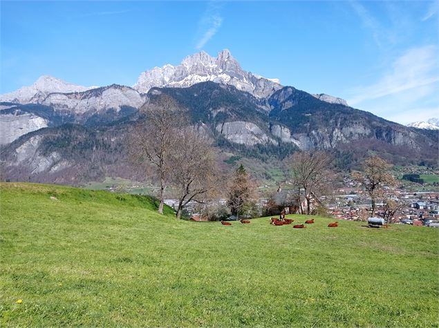 sentier pédestre : circuit des coteaux - Patrice Labarbe