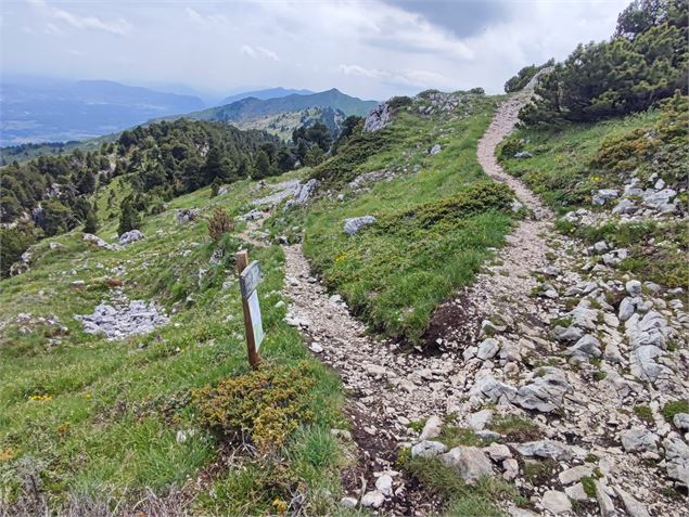 La descente vers le Curson - ©Juliette Thévenard