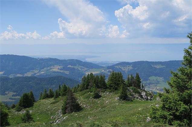 Vue Léman depuis la Pointe d'Ireuse - Victor Demilly / Vallée d'Aulps Tourisme