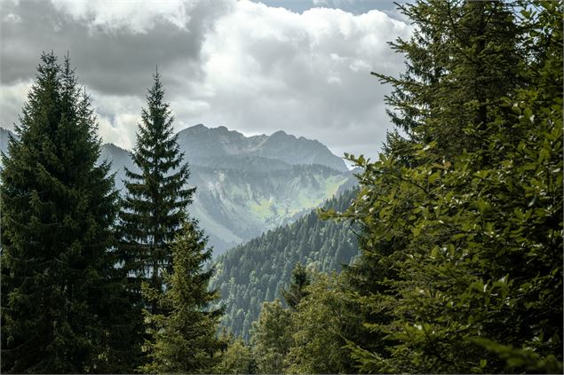 Vue randonnée Seytroux - Victor Demilly / Vallée d'Aulps Tourisme