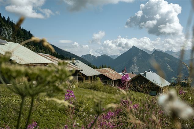 Vue depuis Seytrouset - Victor Demilly / Vallée d'Aulps Tourisme
