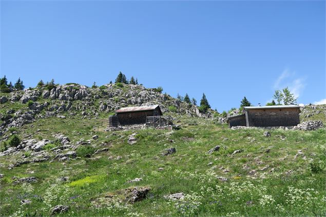 Chalets à Nifflon d'en Haut - Victor Demilly / Vallée d'Aulps Tourisme