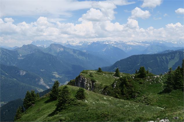 Vue depuis la Pointe d'Ireuse avec les Dents du Midi - Victor Demilly / Vallée d'Aulps Tourisme