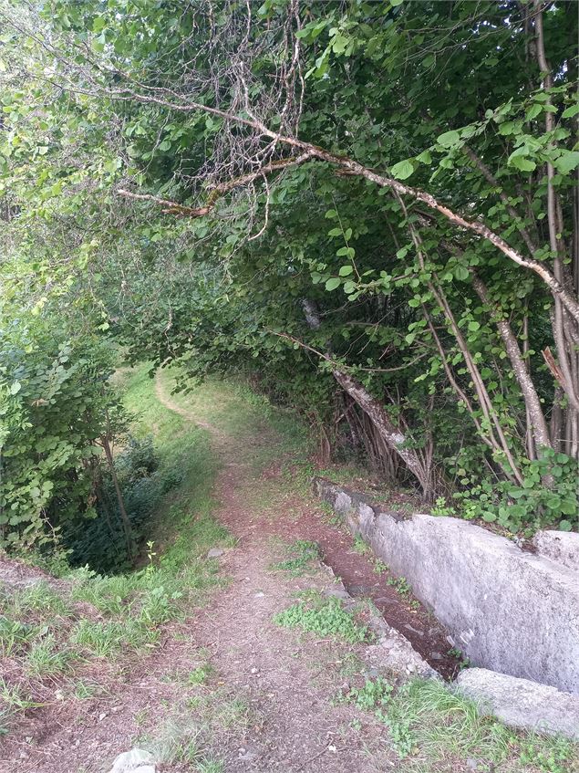 Le sentier - Pierre Marot