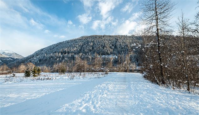 Marais 2 Hiver