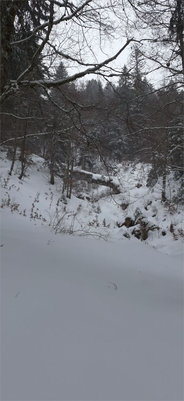 Le Pont Naturel sous la Neige - ©Jthevenard