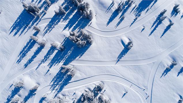 Les pistes s'entrelacent entre plateau dégagés et forêts - Thuria