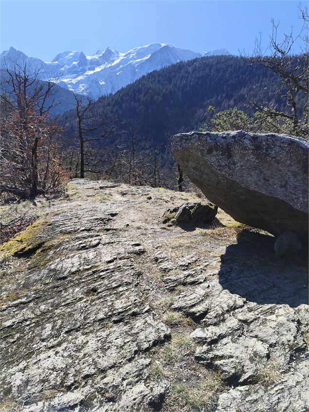Le Massif du Mont-Blanc se dévoile - Léon Fuchs - Passy Tourisme