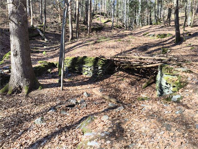 Des vestiges dans la forêt - Léon Fuchs - Passy Tourisme
