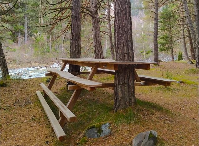 Table de pique-nique en bois encastrée autour d'un arbre - C.Vair