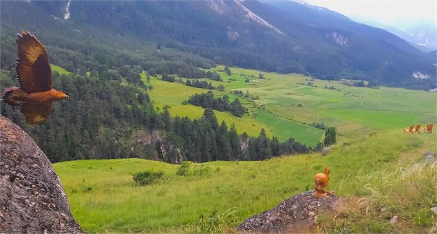 Un aigle va attraper un lapin - C.Vair