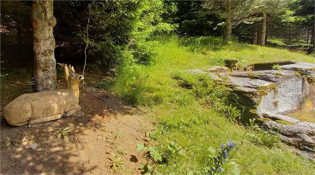 Un chevreuil se repose à côté de la fontaine - C.Vair