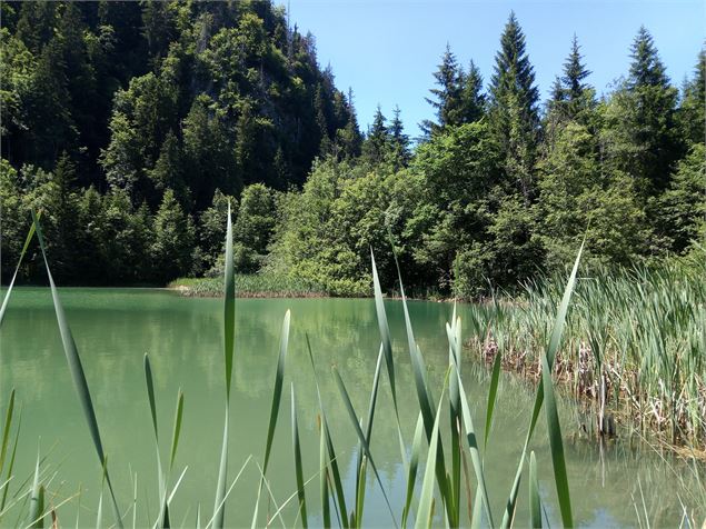 Lac de Vallon - Prépare ta valise - OT Alpes du Léman