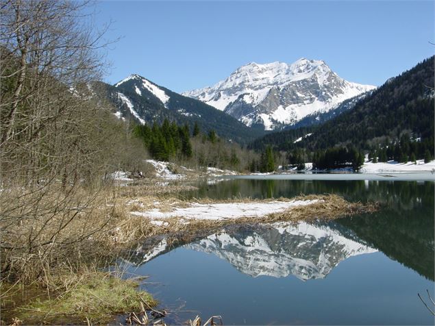 Lac au printemps - Prépare ta valise - OT Alpes du Léman