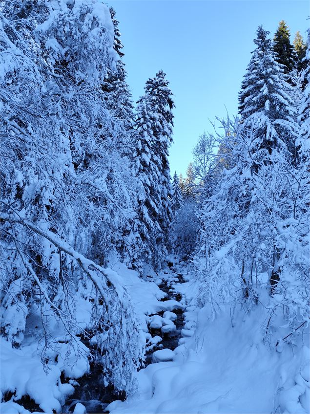 Ruisseau du Dard gelé - © Cordon Tourisme