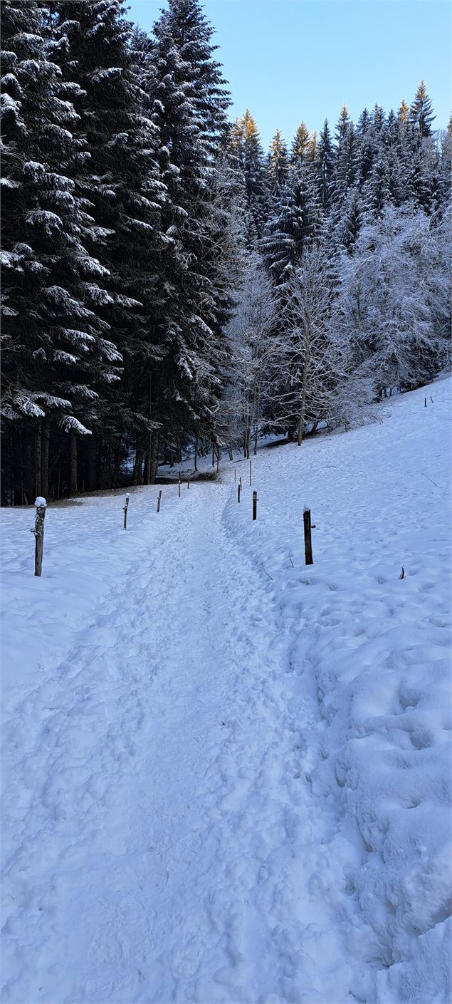 Sentier de départ dans la neige - © Cordon Tourisme