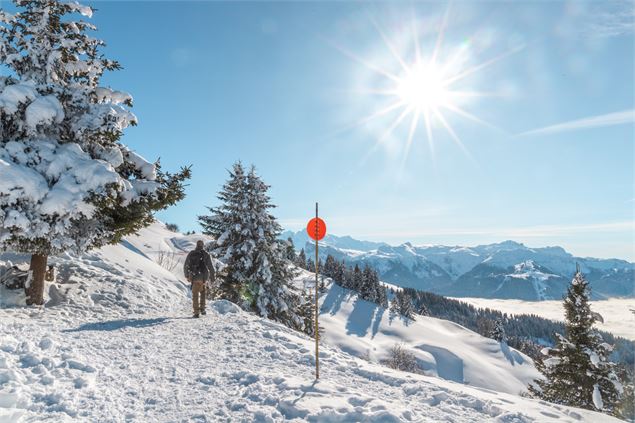sentier balisé - OT Samoens - Mathilda Manzi