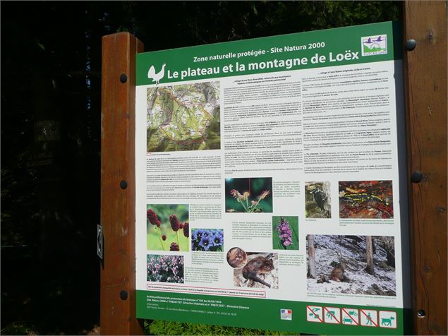 Itinéraire pédestre : Plateau de Loëx