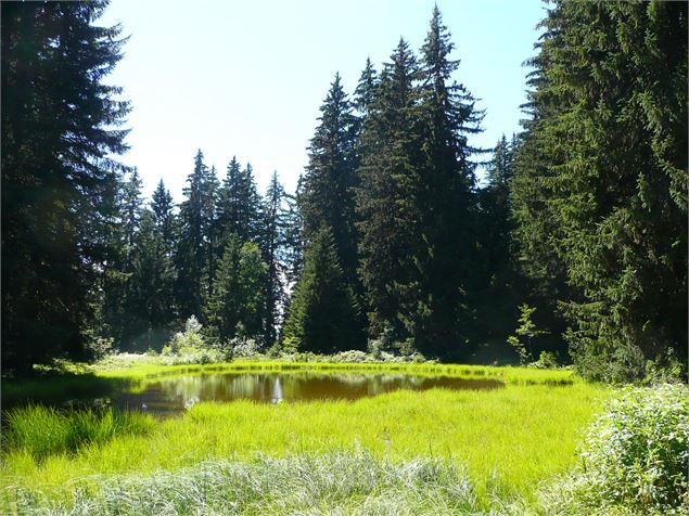 Itinéraire pédestre : Plateau de Loëx