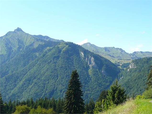 Itinéraire pédestre : Plateau de Loëx