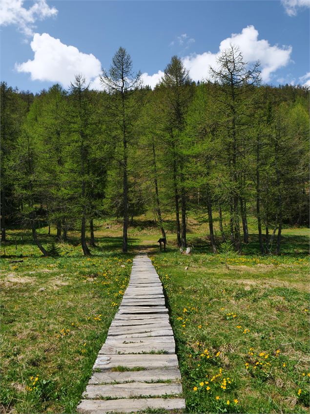 N°05 - Lac de Pramol_Les Karellis - Office de tourisme des Karellis