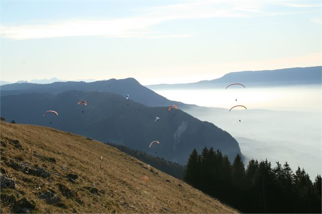 Vue Savoie - B Fel