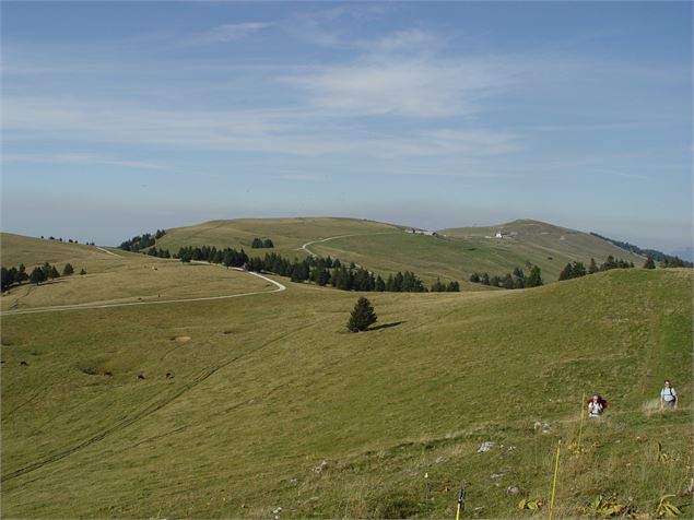 Plateau - B Fel