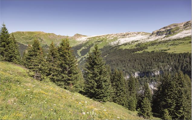 Flaine - CAMT