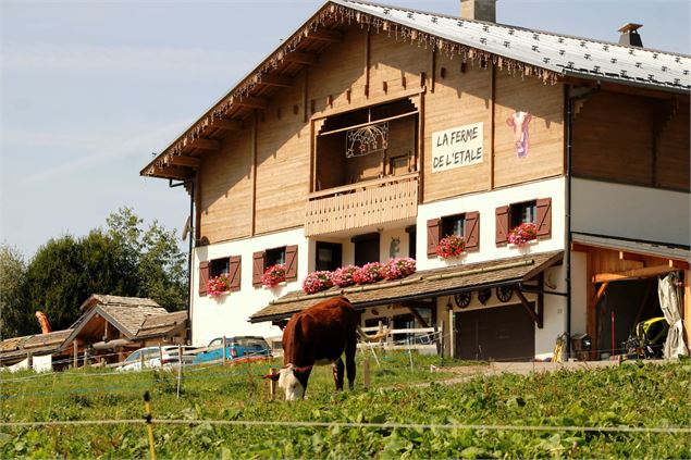 La Ferme de l'Etale - © Romane Pelletier