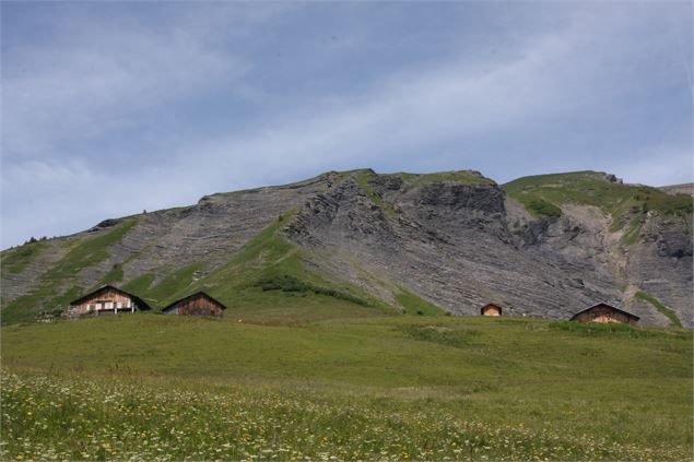 Chalets de l'Avenaz - © Cordon Tourisme