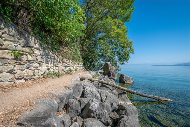 Mur médiéval - Destination Léman - A.Berger